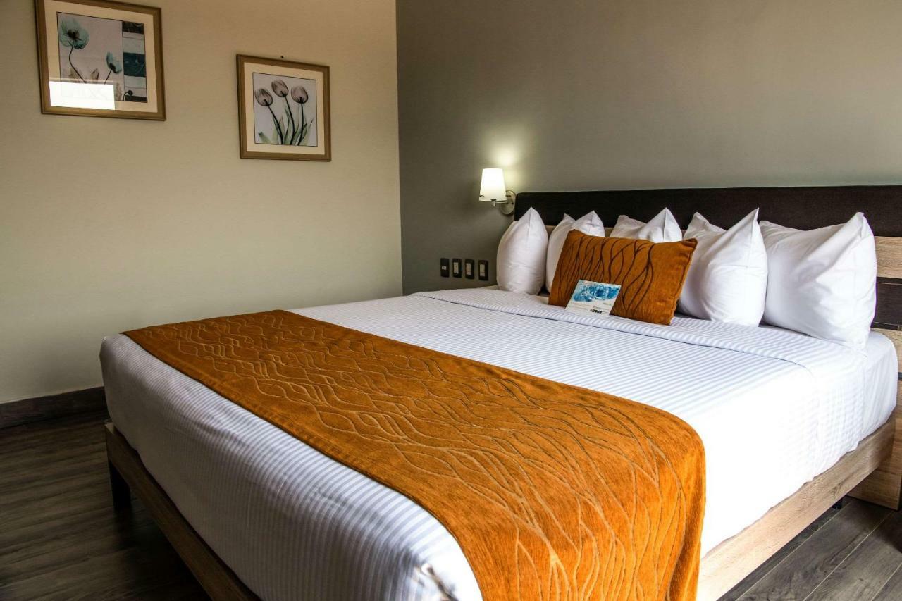 Comfort Inn Irapuato Exteriör bild